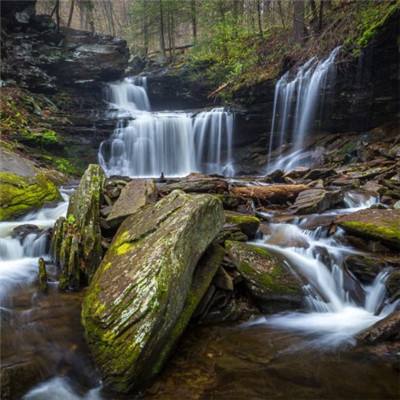 365平台官方版下载